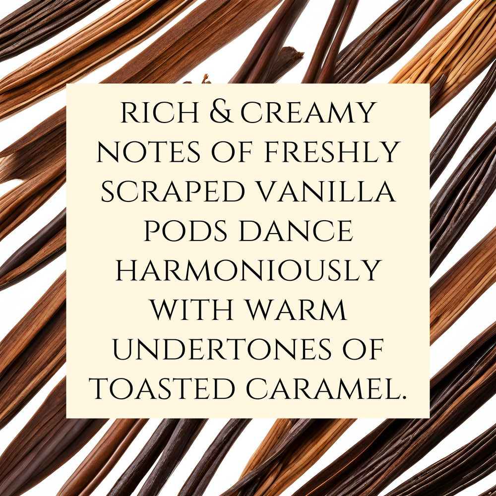 Text fragrance description for vanilla bean. Rich and creamy notes of freshly scraped vanilla pods dance harmoniously with warm undertones of toasted caramel.